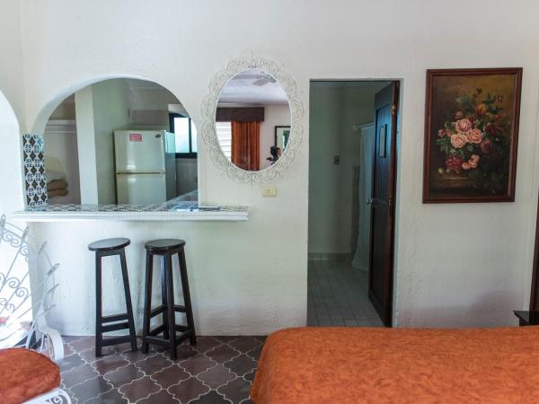 Villablanca Garden Beach Hotel : photo 10 de la chambre standard room (no kitchen)