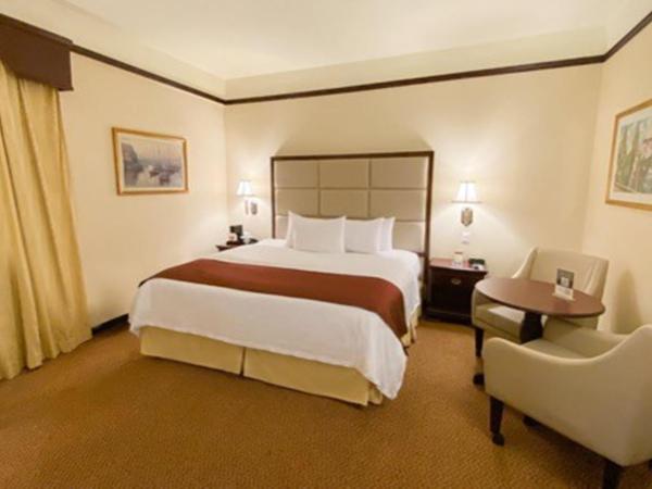 Safi Royal Luxury Centro : photo 4 de la chambre king torre