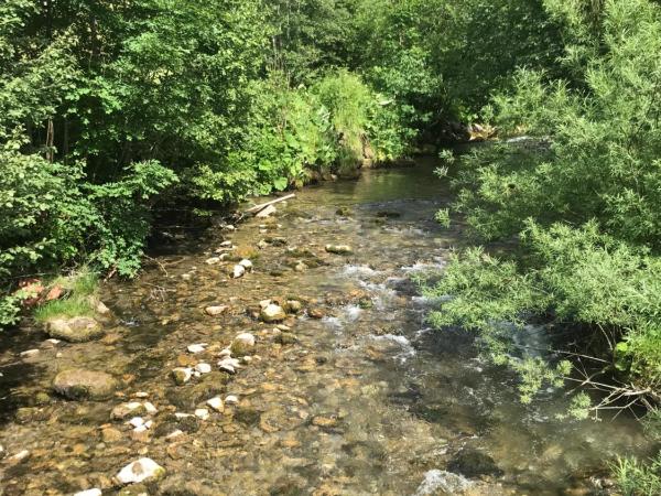 Au Bois de Lune : photo 6 de la chambre chambre familiale avec balcon
