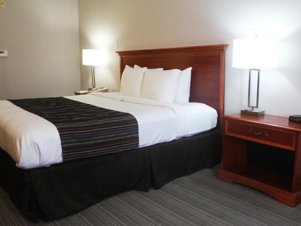 Country Inn & Suites by Radisson, Lackland AFB San Antonio , TX : photo 3 de la chambre chambre lit king-size pour personnes à mobilité réduite - non-fumeurs