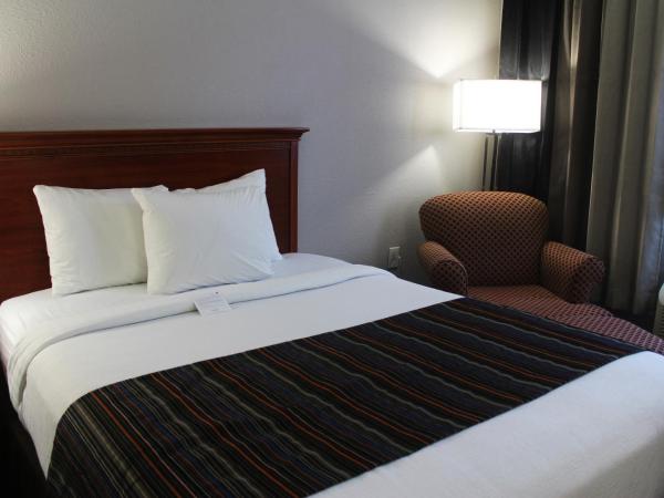 Country Inn & Suites by Radisson, Lackland AFB San Antonio , TX : photo 4 de la chambre chambre lit king-size avec douche accessible en fauteuil roulant - personnes à mobilité réduite/non-fumeurs