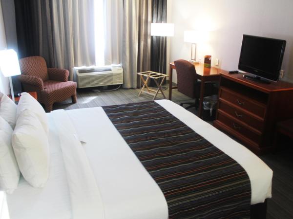 Country Inn & Suites by Radisson, Lackland AFB San Antonio , TX : photo 2 de la chambre chambre lit king-size avec canapé-lit - non-fumeurs