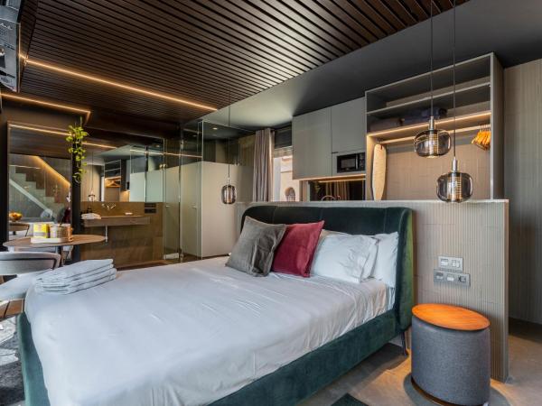 Apartaestudios Evolution Luxury : photo 10 de la chambre studio avec terrasse