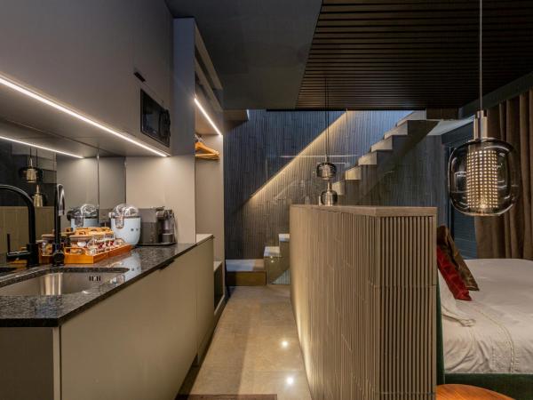 Apartaestudios Evolution Luxury : photo 2 de la chambre studio avec terrasse