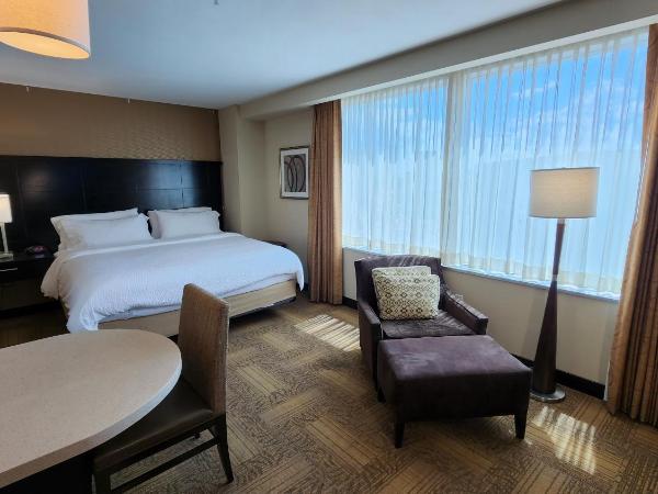 Staybridge Suites Denver Downtown, an IHG Hotel : photo 8 de la chambre studio king suite with accessible roll in shower - non-smoking