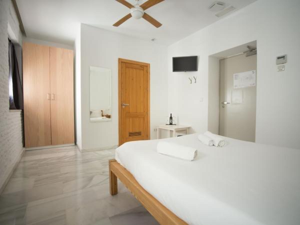 The Nomad Hostel&Pension : photo 2 de la chambre chambre double – vue sur ville