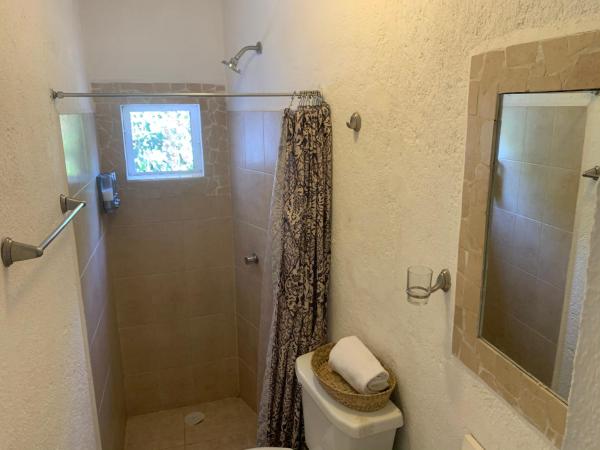 Satya Suites & Portal San Angel Flats : photo 8 de la chambre suite supérieure