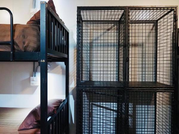 Wild Ones Hostel : photo 3 de la chambre lit dans dortoir mixte de 8 lits avec ventilateur 