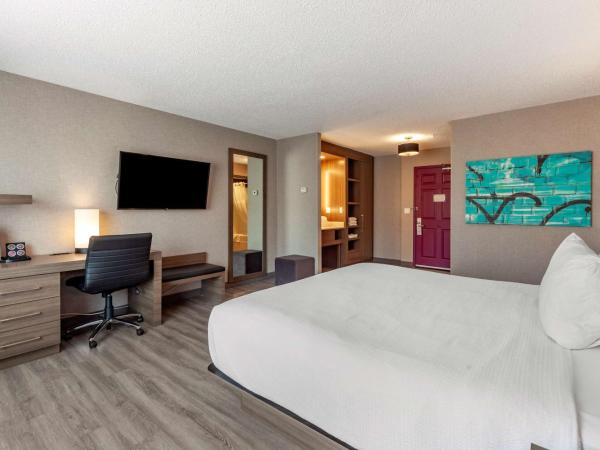 Best Western Plus West Edmonton : photo 5 de la chambre chambre lit king-size