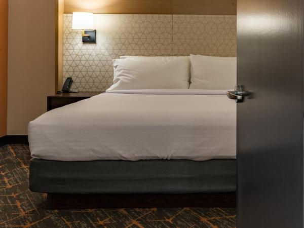 Hotel Spice & Sky Atlanta Perimeter : photo 2 de la chambre suite lit king-size avec balcon