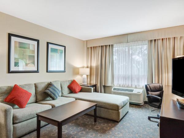 Crowne Plaza Houston Galleria Area, an IHG Hotel : photo 9 de la chambre suite 1 chambre lit king-size avec canapé-lit