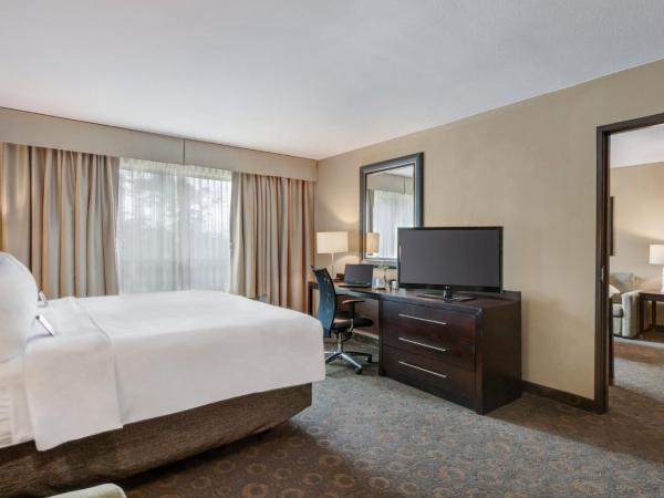 Crowne Plaza Houston Galleria Area, an IHG Hotel : photo 8 de la chambre suite 2 chambres