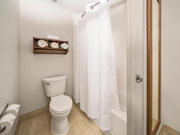 Holiday Inn Express Indianapolis South, an IHG Hotel : photo 5 de la chambre chambre lit king-size standard avec canapé-lit - non-fumeurs