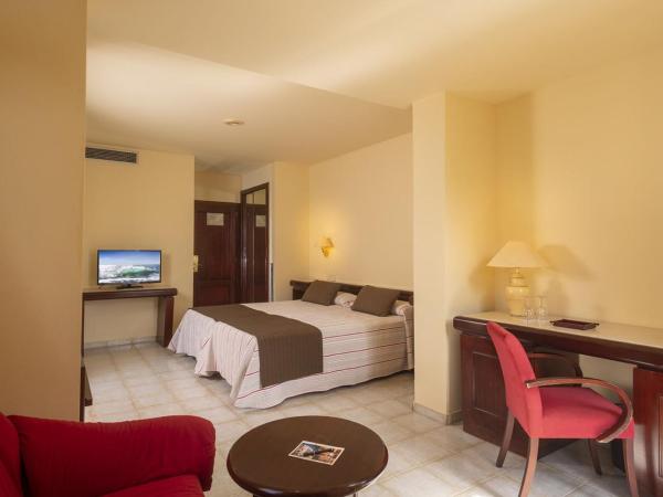 Hotel Guitart Rosa - Adults Only : photo 1 de la chambre chambre double - vue sur jardin