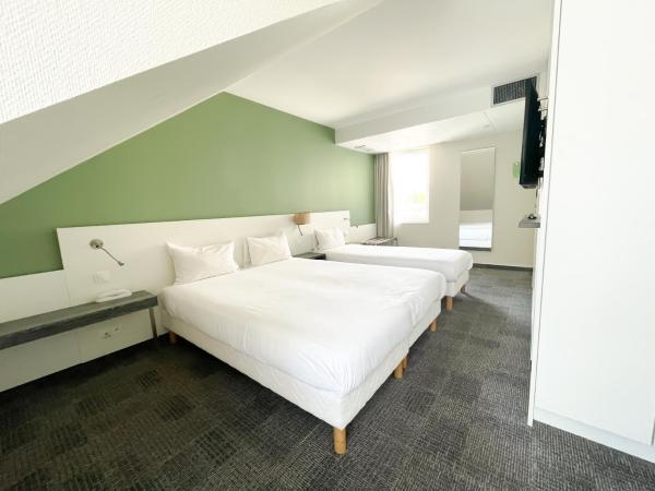 Greet Hotel Colmar : photo 3 de la chambre chambre pop avec 1lit double et 1lit simple