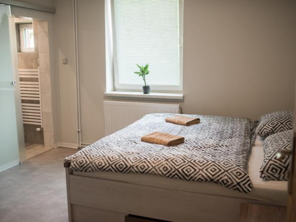 Penzion Moon : photo 8 de la chambre appartement supérieur