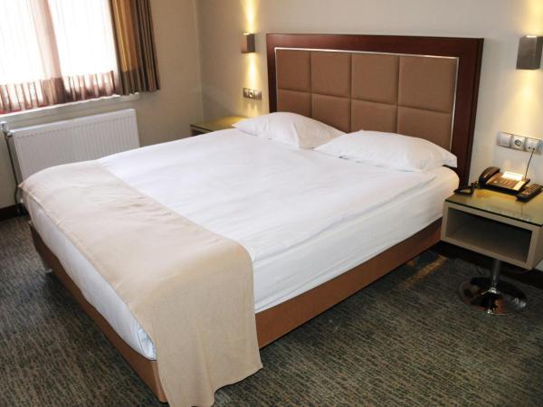 HİTİT OTEL : photo 1 de la chambre chambre simple standard