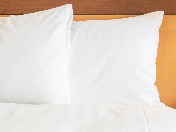 Hotel Indigo Atlanta Airport College Park, an IHG Hotel : photo 2 de la chambre chambre standard