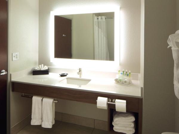Holiday Inn Express Hotel & Suites Atlanta Airport West - Camp Creek, an IHG Hotel : photo 3 de la chambre chambre standard