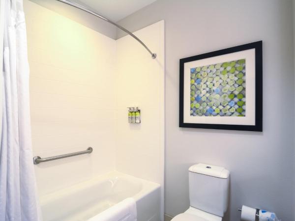 Holiday Inn Express Hotel & Suites Tampa-USF-Busch Gardens, an IHG Hotel : photo 3 de la chambre chambre lit king-size standard