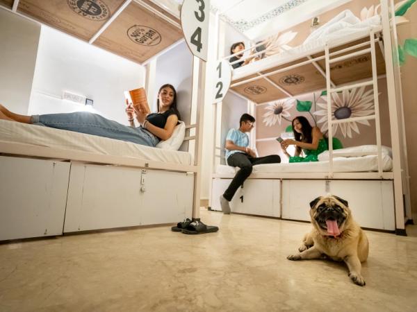 Citylights By MUSAFIR : photo 9 de la chambre lit dans dortoir mixte de 4 lits