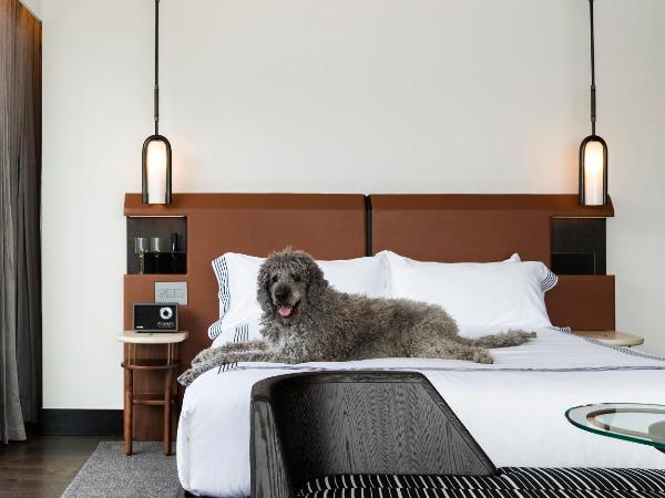 Thompson Denver, by Hyatt : photo 10 de la chambre chambre lit king-size pour personnes à mobilité réduite avec douche accessible aux personnes à mobilité réduite