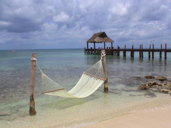 Secrets Aura Cozumel - Adults Only : photo 4 de la chambre suite junior club privilège - côté océan