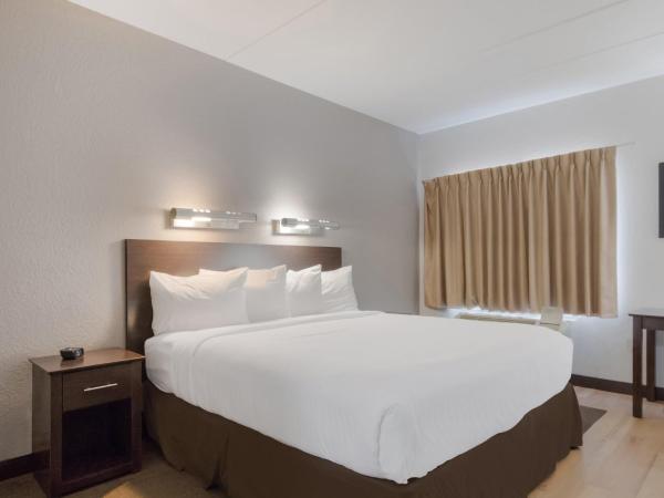 Red Roof Inn San Antonio - Seaworld Northwest : photo 1 de la chambre suite lit king-size - non-fumeurs