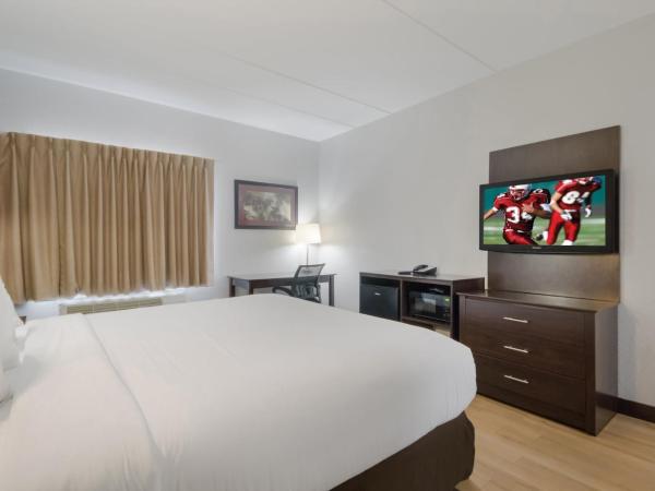 Red Roof Inn San Antonio - Seaworld Northwest : photo 2 de la chambre suite lit king-size - non-fumeurs