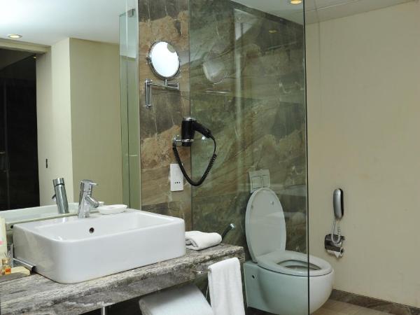 The Grand Bhagwati : photo 3 de la chambre chambre double deluxe