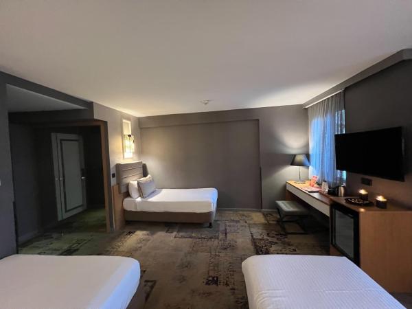 All Seasons Hotel : photo 6 de la chambre chambre familiale