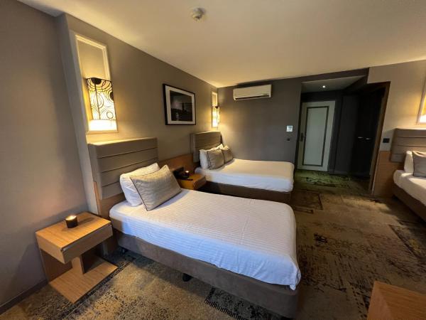 All Seasons Hotel : photo 7 de la chambre chambre familiale