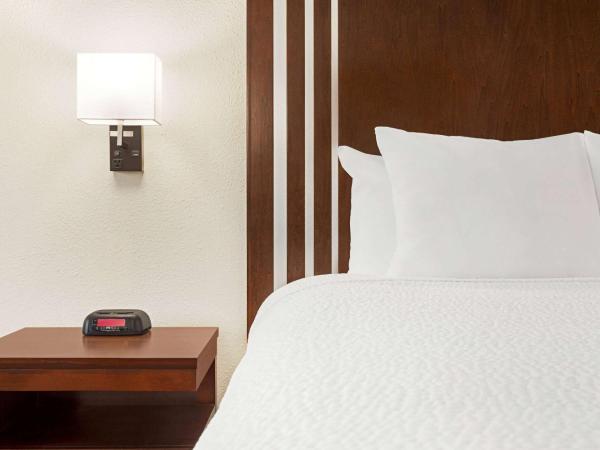 Ramada by Wyndham San Antonio Near SeaWorld - Lackland AFB : photo 3 de la chambre chambre lit king-size - non-fumeurs