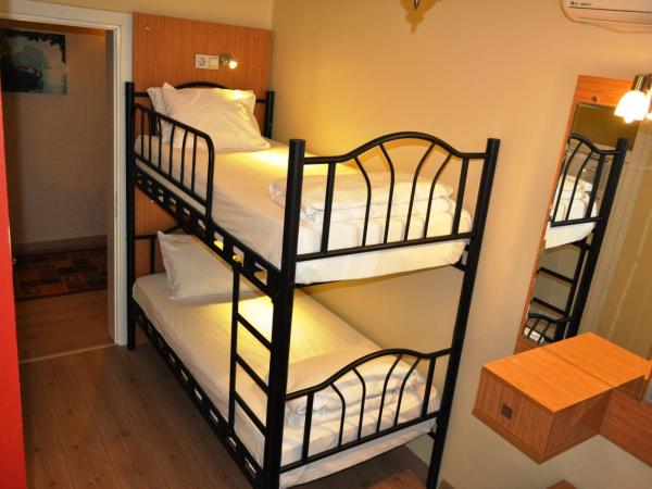 Antique Hostel : photo 3 de la chambre chambre lits jumeaux Économique