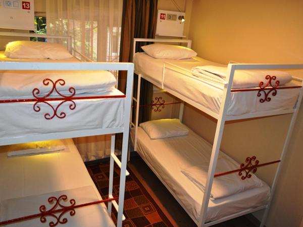 Antique Hostel : photo 4 de la chambre lit dans dortoir mixte de 4 lits