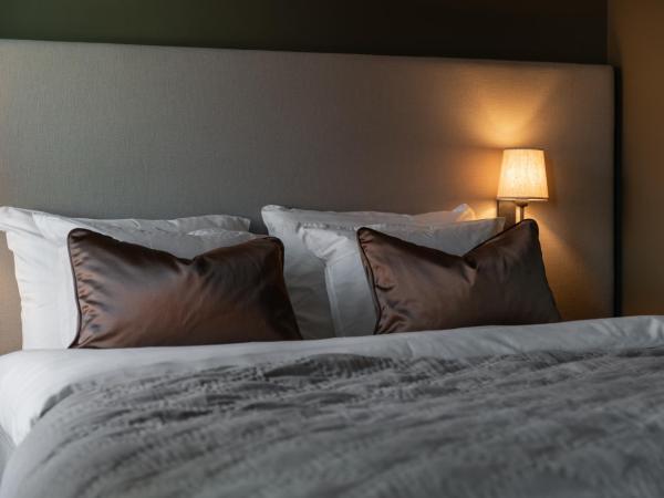 Live and Stay Ekmanska : photo 3 de la chambre penthouse