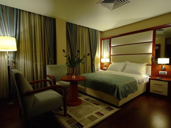 Dareyn Hotel : photo 4 de la chambre chambre double