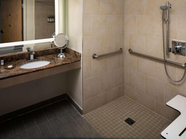 Hyatt Regency Jacksonville Riverfront : photo 1 de la chambre chambre lit king-size pour personnes à mobilité réduite avec douche accessible aux personnes à mobilité réduite
