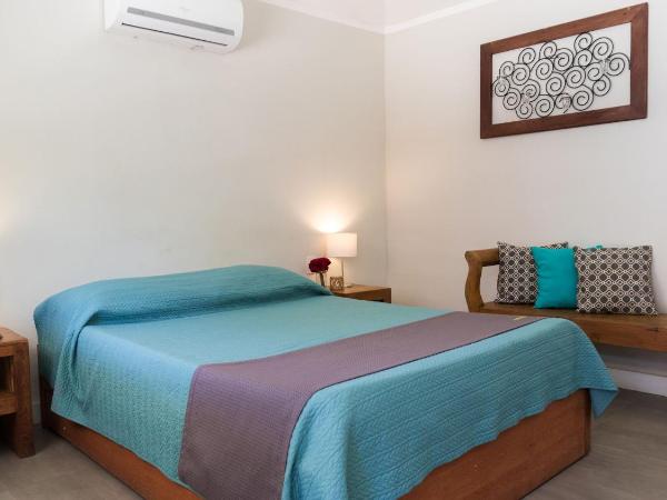 Pousada Tartaruga : photo 1 de la chambre chambre double standard