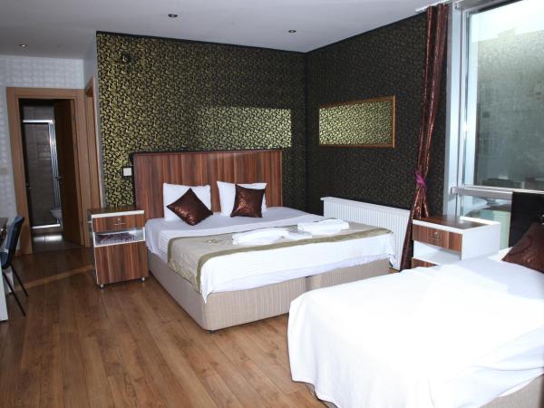 GARDEN HILL HOTEL : photo 1 de la chambre chambre triple - vue sur ville
