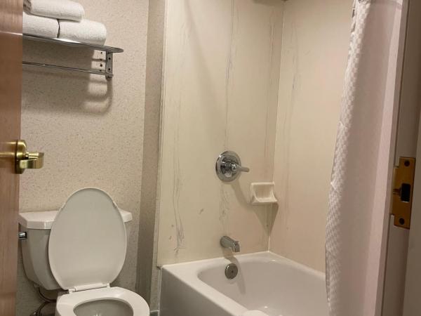 Days Inn & Suites by Wyndham Denver International Airport : photo 4 de la chambre chambre lit king-size - non-fumeurs