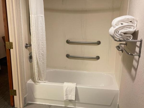 Days Inn & Suites by Wyndham Denver International Airport : photo 5 de la chambre chambre lit king-size pour personnes à mobilité réduite - non-fumeurs