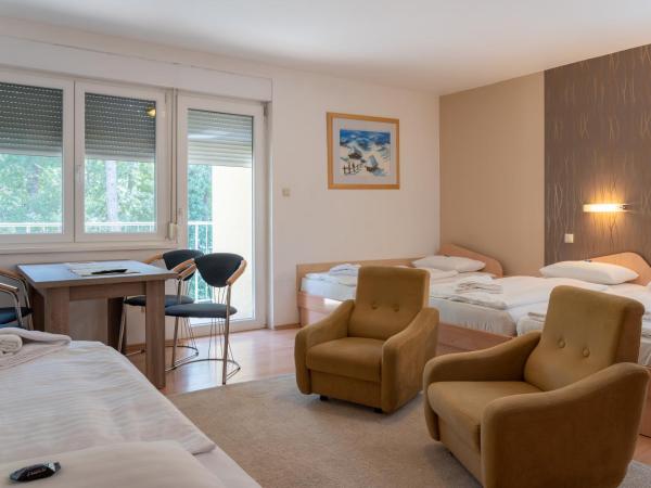 BALATONAIR Vendégház : photo 2 de la chambre appartement avec balcon