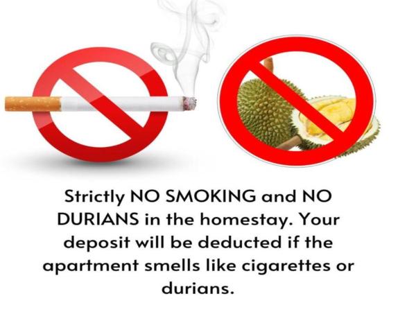 Sunshine Homestay : photo 8 de la chambre appartement 2 chambres