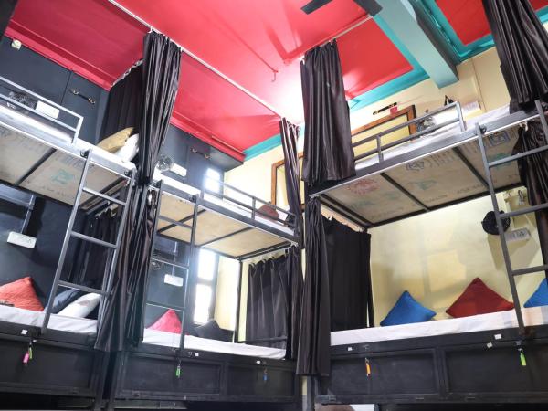 Sant Kripa Backpackers : photo 3 de la chambre lit superposé dans dortoir pour femmes 