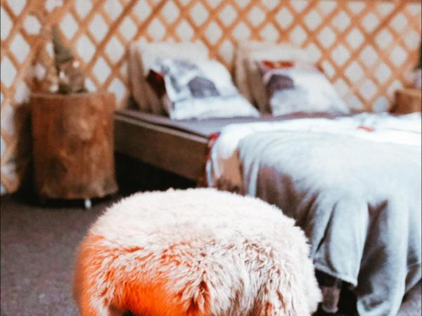 Yurt District : photo 4 de la chambre yourte sur colline - vue sur forêt