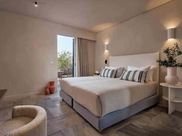 Mykonos Theoxenia, a member of Design Hotels : photo 1 de la chambre chambre classique vue jardin