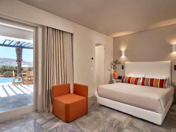 Mykonos Theoxenia, a member of Design Hotels : photo 5 de la chambre suite 2 chambres theoxenia avec piscine privée