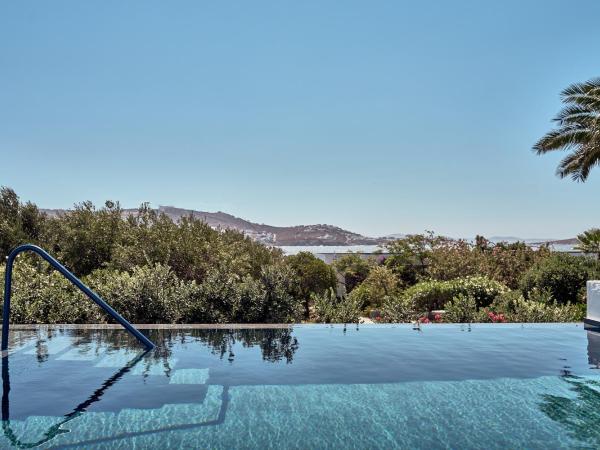 Mykonos Theoxenia, a member of Design Hotels : photo 7 de la chambre suite 1 chambre theoxenia avec piscine privée - vue sur mer