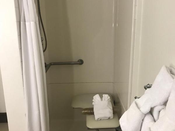 Hollywood Hotel : photo 4 de la chambre chambre avec 2 lits queen-size - accessible aux personnes à mobilité réduite